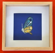 Tableau papillon glazic